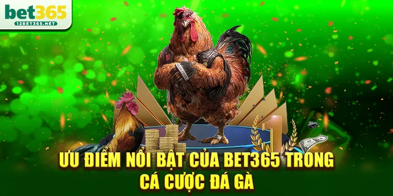 Ưu điểm nổi bật của Bet365 trong cá cược đá gà