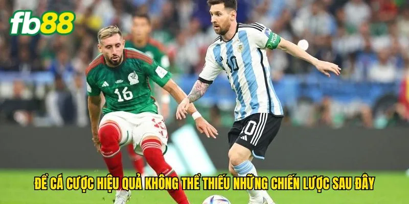de-ca-cuoc-hieu-qua-khong-the-thieu-nhung-chien-luoc-sau-day
