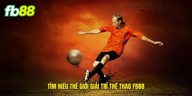 tim-hieu-the-gioi-giai-tri-the-thao-fb88